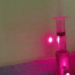 Kính Hiển Vi Laser (Laser Microscope)