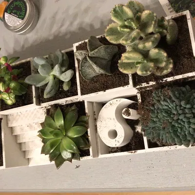 Vườn Zen có Biểu tượng Ying/Yang