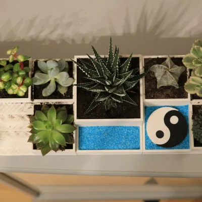 Vườn Zen có Biểu tượng Ying/Yang