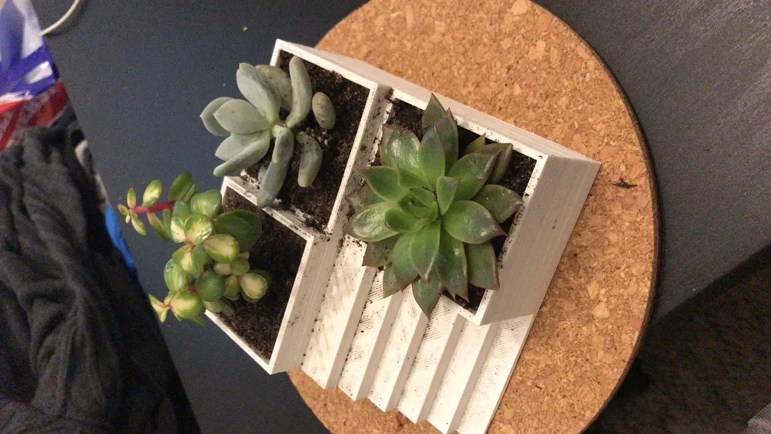 Vườn Zen có Biểu tượng Ying/Yang - Image 6