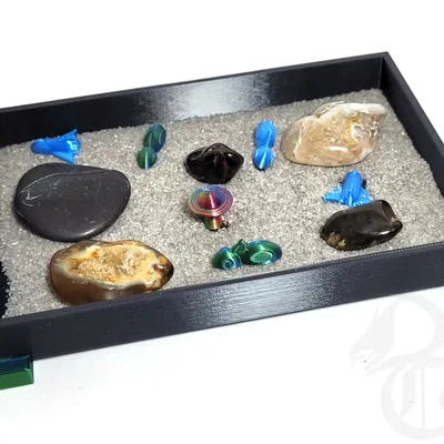 Cá Mập Cát Thiền Định "Sand Shark Zen"