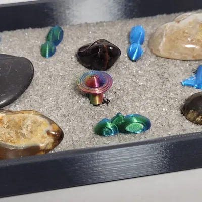 Cá Mập Cát Thiền Định "Sand Shark Zen"