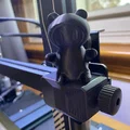 Cute Bear - Thumbnail 1
