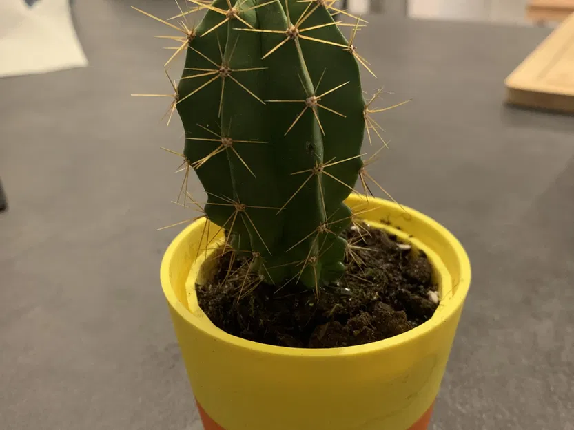 Chậu Hoa Nhỏ - Image 4