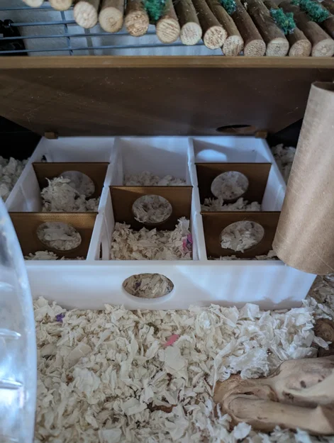 Nhà Trú Ẩn Hamster Nhiều Ngăn - Image 1