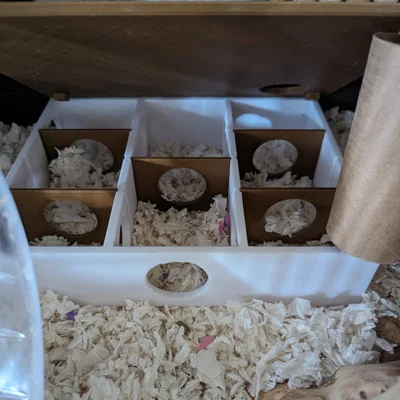 Nhà Trú Ẩn Hamster Nhiều Ngăn