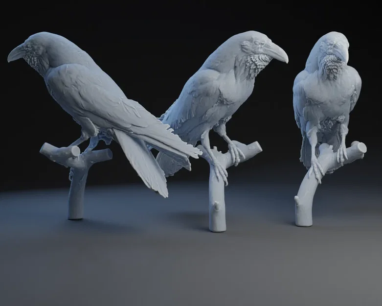 Raven: Cho con chim vô nó đi 2 - Image 1