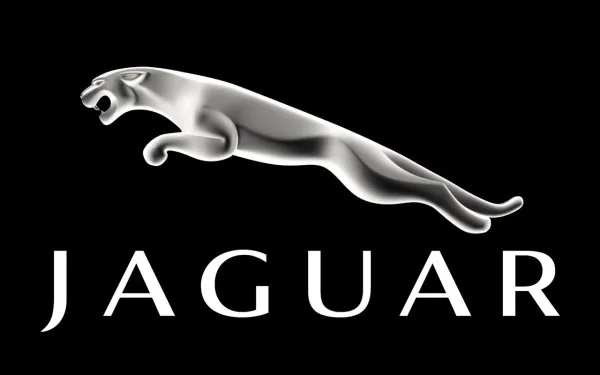 logo jaguare - Image 1