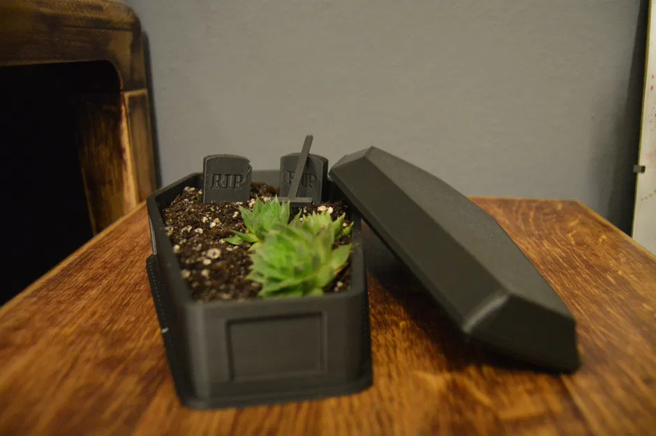 Chậu Hoa/Tiểu Cảnh Hình Quan Tài Độc Đáo - Image 1