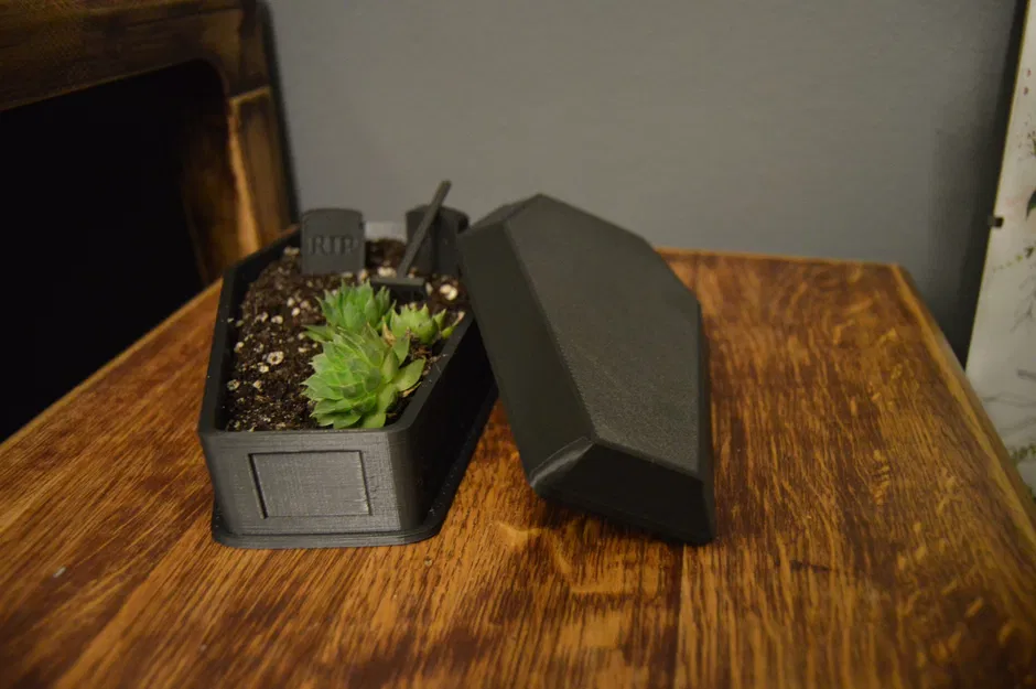 Chậu Hoa/Tiểu Cảnh Hình Quan Tài Độc Đáo - Image 2