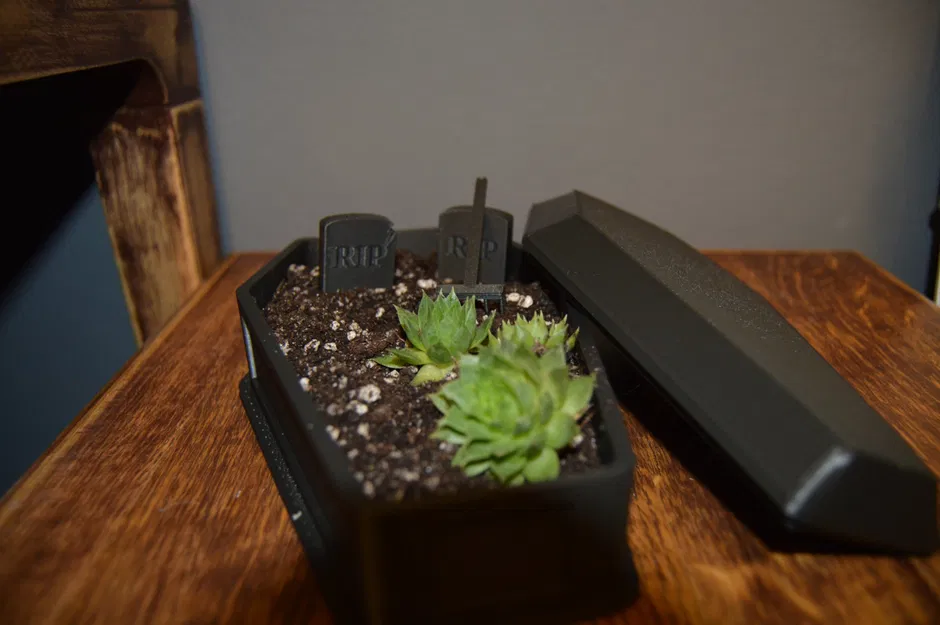 Chậu Hoa/Tiểu Cảnh Hình Quan Tài Độc Đáo - Image 3