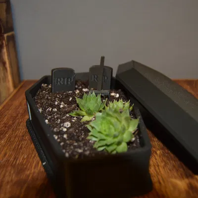 Chậu Hoa/Tiểu Cảnh Hình Quan Tài Độc Đáo