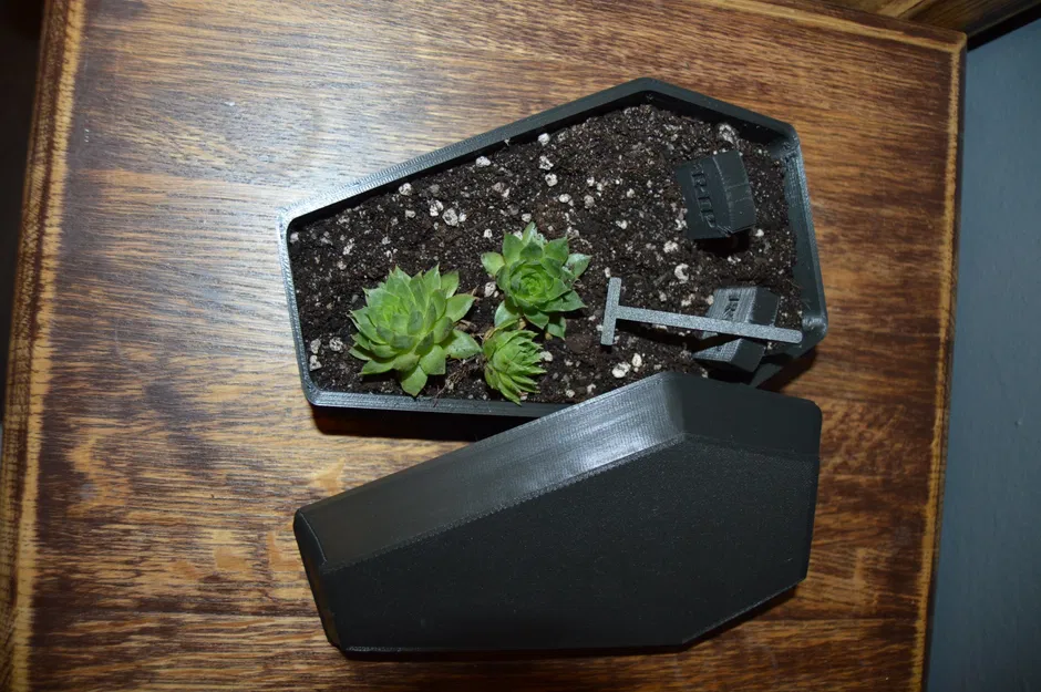 Chậu Hoa/Tiểu Cảnh Hình Quan Tài Độc Đáo - Image 4