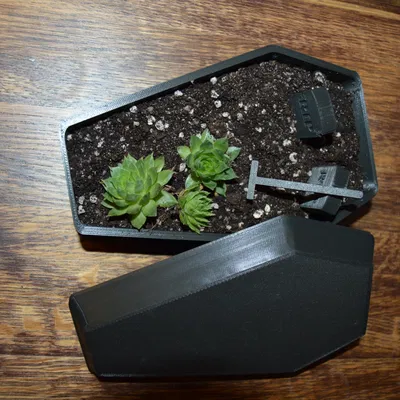 Chậu Hoa/Tiểu Cảnh Hình Quan Tài Độc Đáo