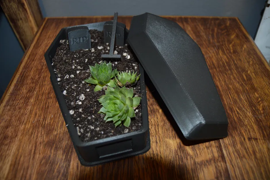 Chậu Hoa/Tiểu Cảnh Hình Quan Tài Độc Đáo - Image 6