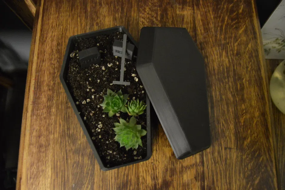 Chậu Hoa/Tiểu Cảnh Hình Quan Tài Độc Đáo - Image 7