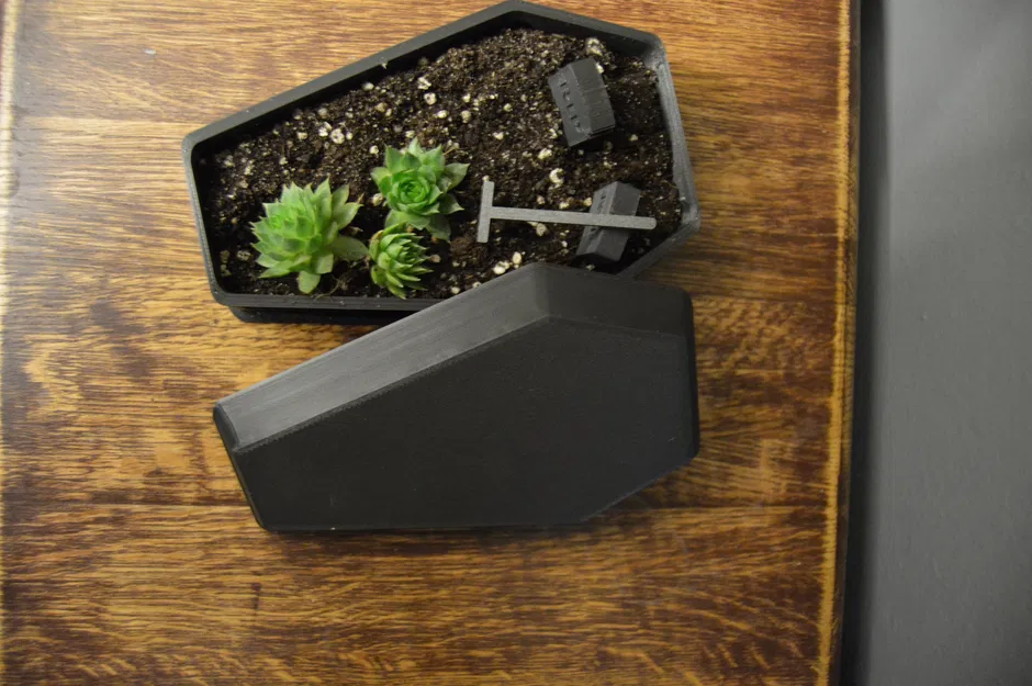 Chậu Hoa/Tiểu Cảnh Hình Quan Tài Độc Đáo - Image 8