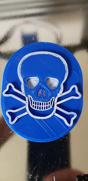 Médaillon tête de mort/skull medallion - Image 1