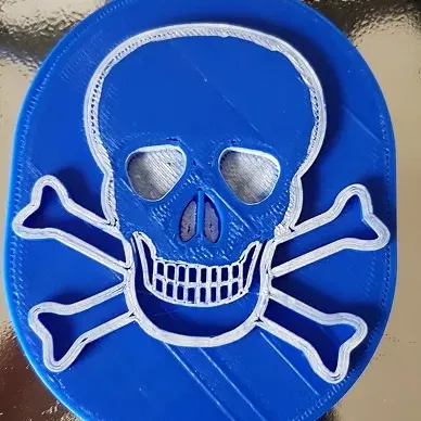 Médaillon tête de mort/skull medallion