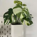 Khay cắm IKEA SKADIS cho cây giả (chậu, pot) - Thumbnail 3