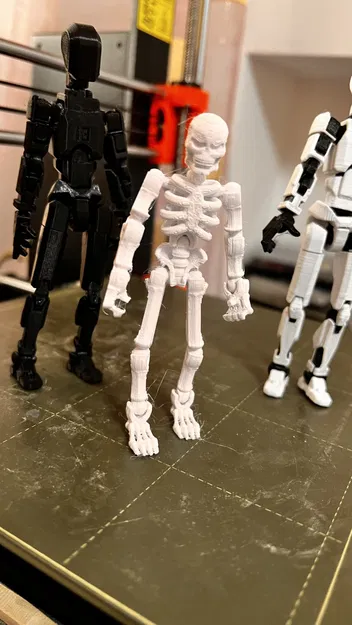 Mô hình bộ xương "snicket" - Image 1