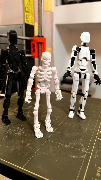 Mô hình bộ xương "snicket" - Image 2