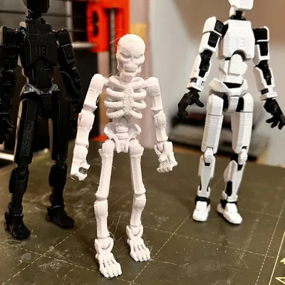 Mô hình bộ xương "snicket"