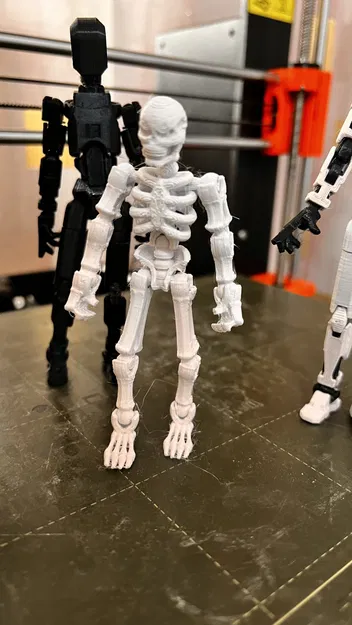 Mô hình bộ xương "snicket" - Image 3