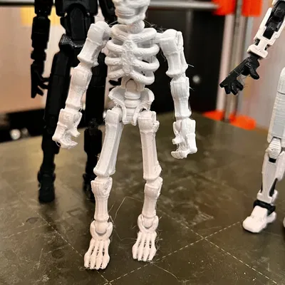 Mô hình bộ xương "snicket"