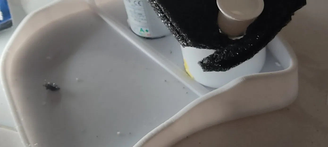 Khu Vườn Thiền Suối Nước Róc Rách - Image 8