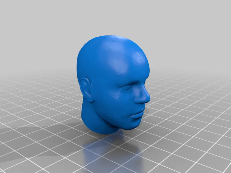 Human Head 1/6 Scale - Image 1