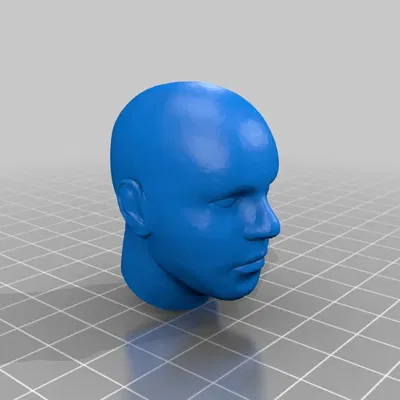 Human Head 1/6 Scale