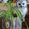 Owl themed planter/desk organizer/item holder - Thumbnail 1