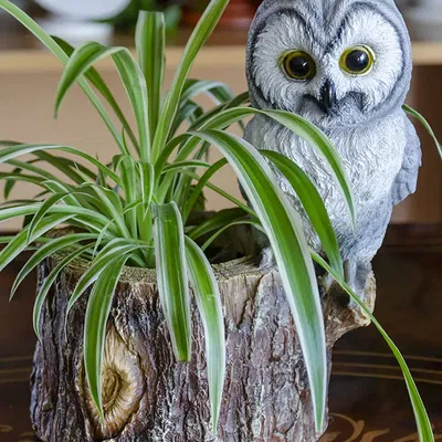 Owl themed planter/desk organizer/item holder