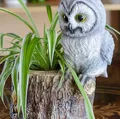 Owl themed planter/desk organizer/item holder - Thumbnail 2