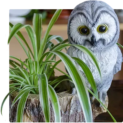 Owl themed planter/desk organizer/item holder - Image 10