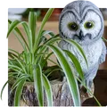 Owl themed planter/desk organizer/item holder - Thumbnail 10