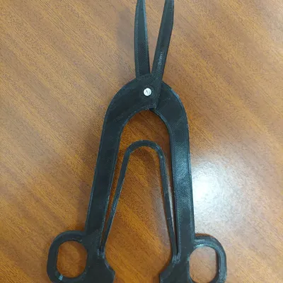 Scissors
