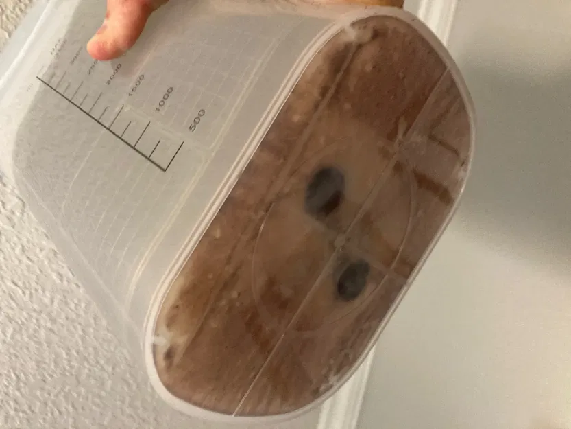 Thay Nam Châm Cho Máy Rửa & Sấy Anycubic Wash and Cure 2.0 - Image 4