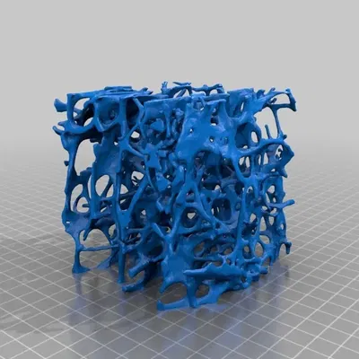 Mô hình xương bè loãng xương kèm vít xương