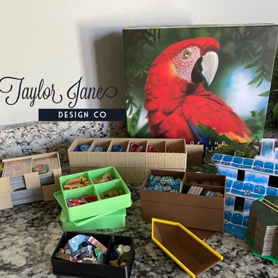 Life of the Amazonia Playable Board Game Insert