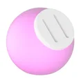 Minimal Pig Design | Piggy Bank - Thumbnail 1
