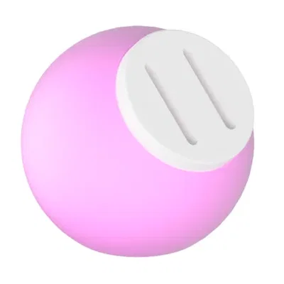 Minimal Pig Design | Piggy Bank