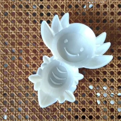 Axolotl Sand Mold