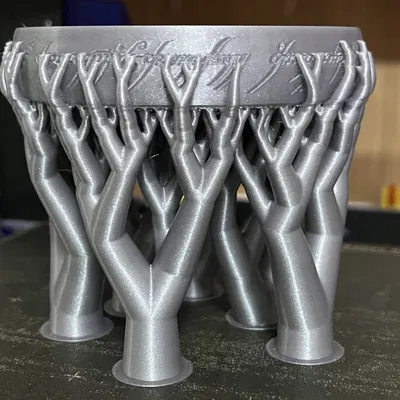 Báu Vật Trong Rừng Phép Thuật