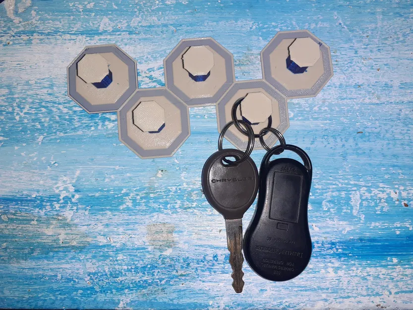 Móc Chìa Khóa Hai Màu (Věšák na klíče) - Image 1