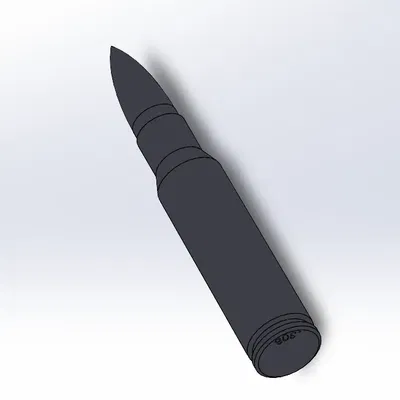 Đạn Giả Cal. .308 Winchester