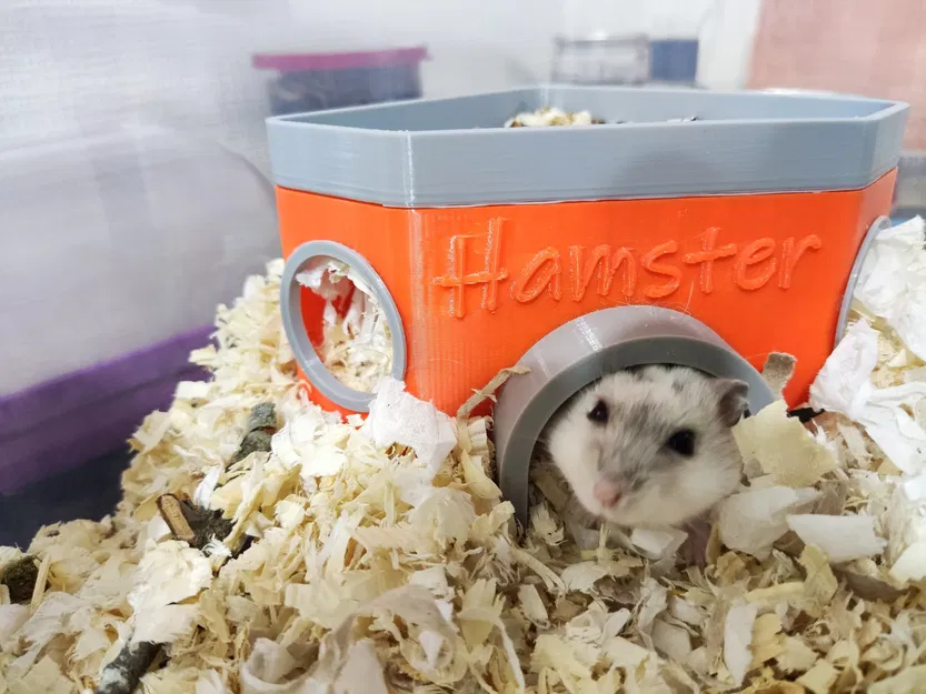 Nhà cho Hamster - Image 1