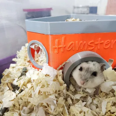 Nhà cho Hamster