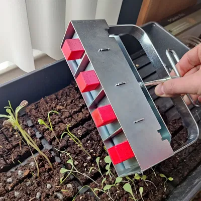 Khuôn Trồng Đất